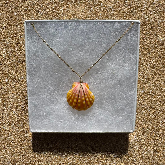 Sunrise Shell Necklace