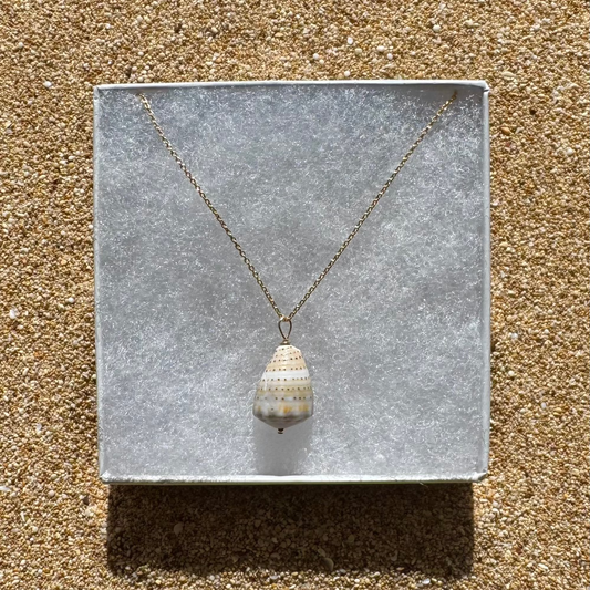 Abbreviated Cone Shell Necklace