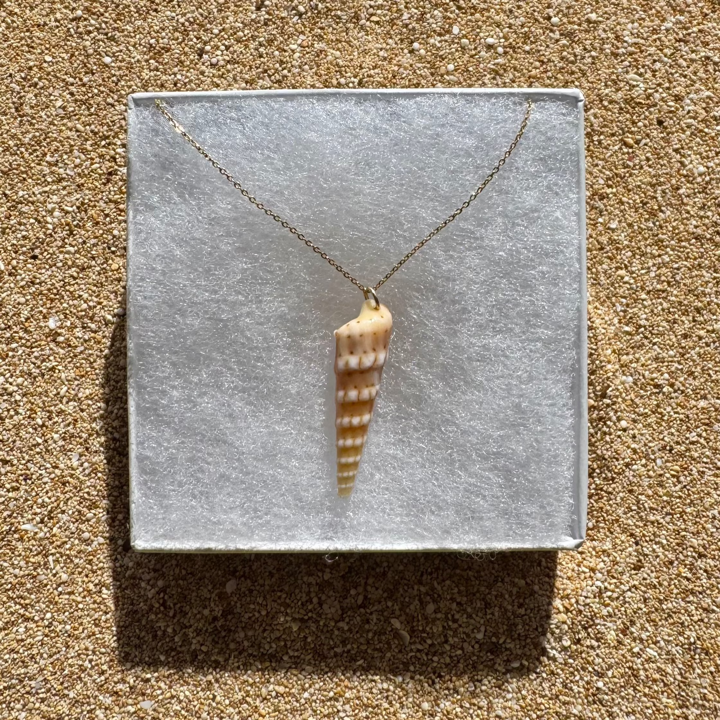 Auger Shell Necklace